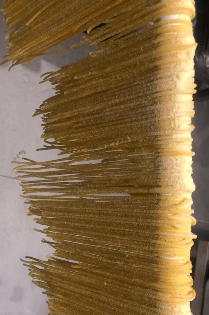 Fresh Pasta
